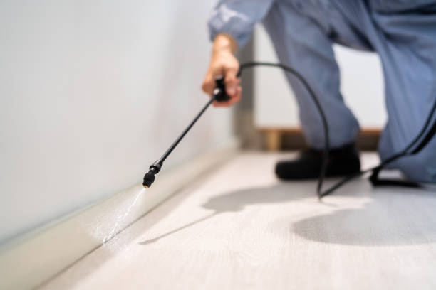 Certified termite inspector examining foundation in Lake City
